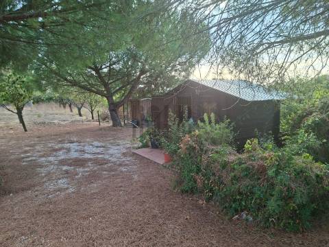 Quintinha T2 Venda em Pontével,Cartaxo