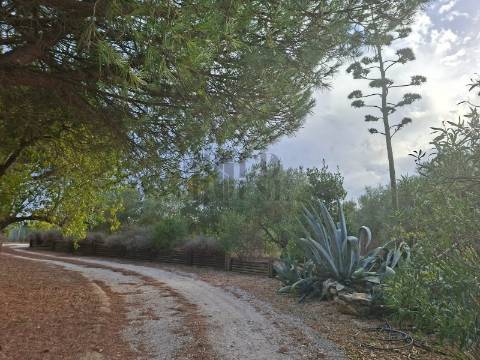 Quintinha T2 Venda em Pontével,Cartaxo