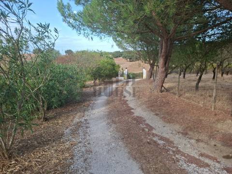 Quintinha T2 Venda em Pontével,Cartaxo