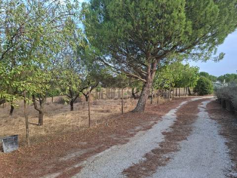 Quintinha T2 Venda em Pontével,Cartaxo