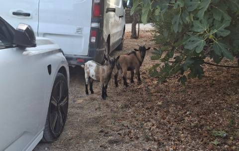 Quintinha T2 Venda em Pontével,Cartaxo