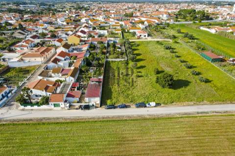 Terreno  Venda em Vila Chã de Ourique,Cartaxo