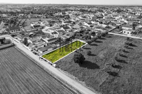 Terreno  Venda em Vila Chã de Ourique,Cartaxo
