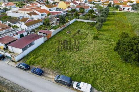 Terreno  Venda em Vila Chã de Ourique,Cartaxo
