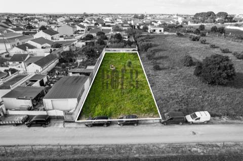 Terreno  Venda em Vila Chã de Ourique,Cartaxo