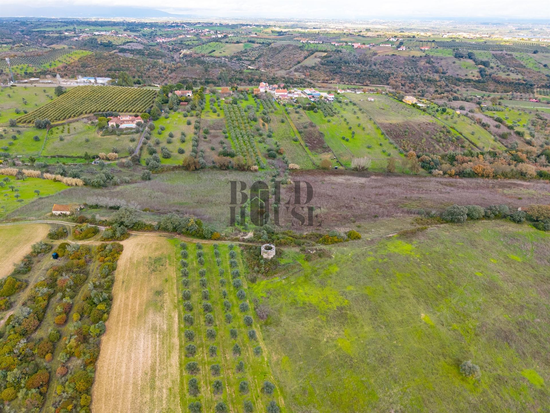 Quintinha  Venda em Achete, Azoia de Baixo e Póvoa de Santarém,Santarém
