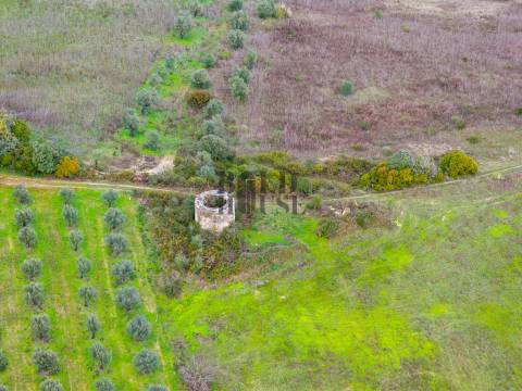 Quintinha  Venda em Achete, Azoia de Baixo e Póvoa de Santarém,Santarém