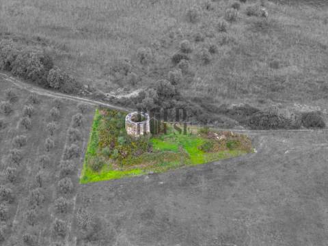 Quintinha  Venda em Achete, Azoia de Baixo e Póvoa de Santarém,Santarém