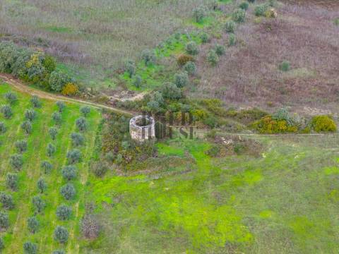 Quintinha  Venda em Achete, Azoia de Baixo e Póvoa de Santarém,Santarém