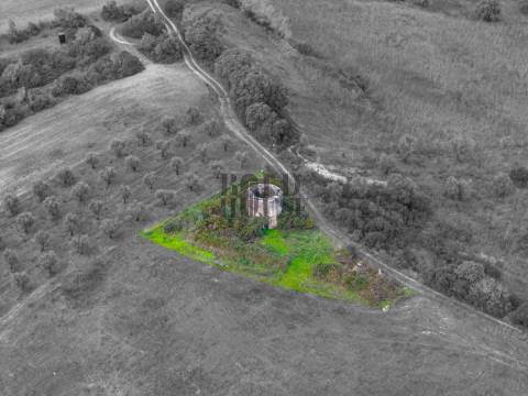 Quintinha  Venda em Achete, Azoia de Baixo e Póvoa de Santarém,Santarém