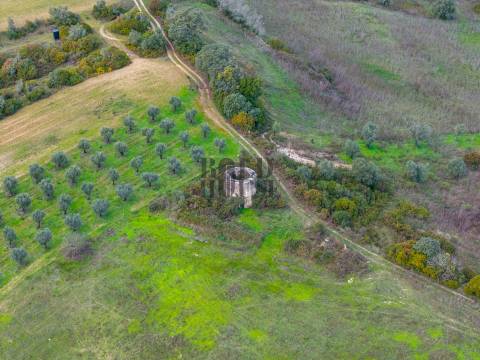 Quintinha  Venda em Achete, Azoia de Baixo e Póvoa de Santarém,Santarém