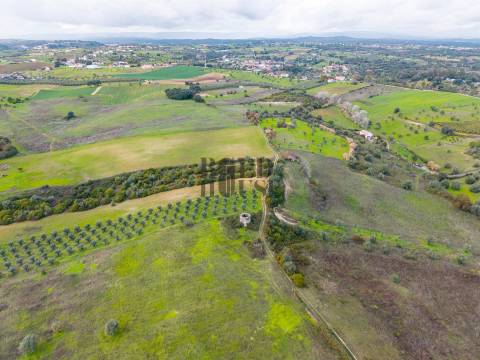 Quintinha  Venda em Achete, Azoia de Baixo e Póvoa de Santarém,Santarém