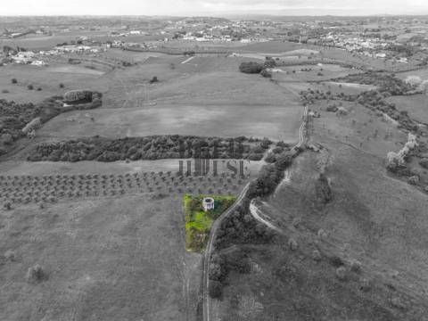 Quintinha  Venda em Achete, Azoia de Baixo e Póvoa de Santarém,Santarém