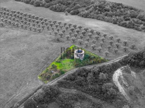 Quintinha  Venda em Achete, Azoia de Baixo e Póvoa de Santarém,Santarém
