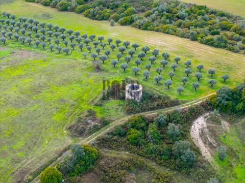 Quintinha  Venda em Achete, Azoia de Baixo e Póvoa de Santarém,Santarém