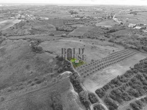 Quintinha  Venda em Achete, Azoia de Baixo e Póvoa de Santarém,Santarém