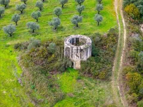 Quintinha  Venda em Achete, Azoia de Baixo e Póvoa de Santarém,Santarém