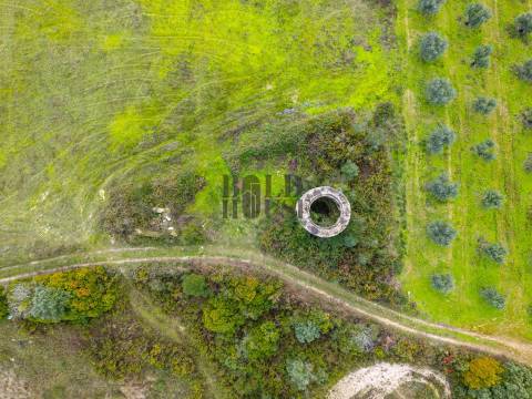 Quintinha  Venda em Achete, Azoia de Baixo e Póvoa de Santarém,Santarém