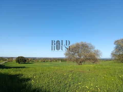 Terreno Rústico  Venda em Pontével,Cartaxo