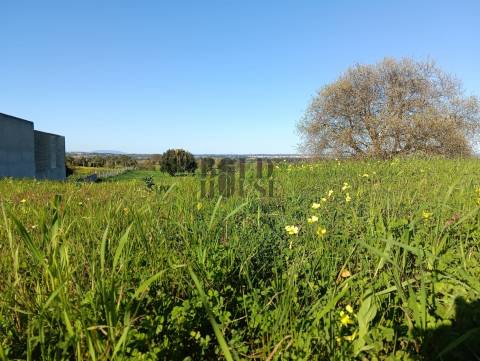 Terreno Rústico  Venda em Pontével,Cartaxo