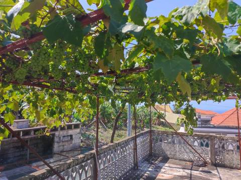 Moradia T4, Isolada, 2 andares, R/C Serviços, 1º Andar Habitação