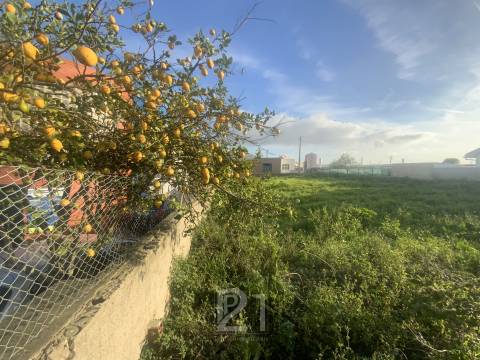 Terreno Para Construção  Venda em Cacém e São Marcos,Sintra