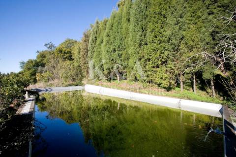 Casa Senhorial no Luso