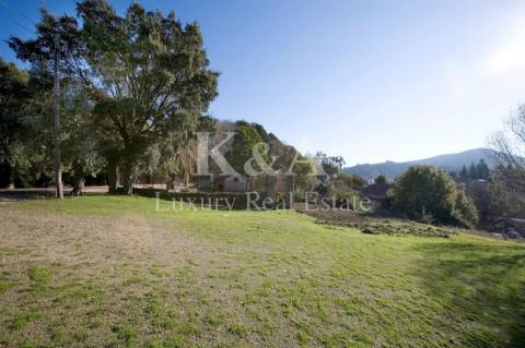 Casa Senhorial no Luso