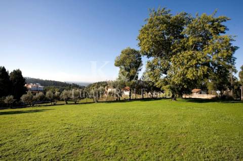 Casa Senhorial no Luso