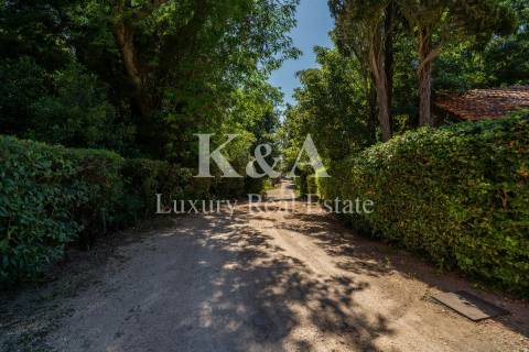 Casa Senhorial no Luso