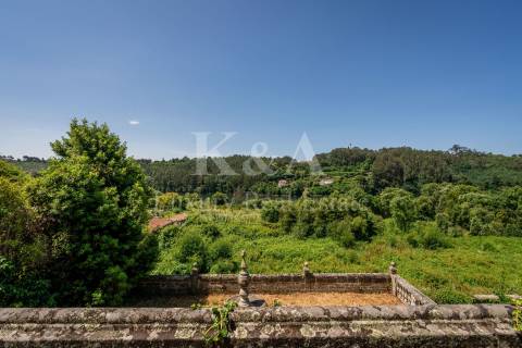 Quinta histórica no Douro