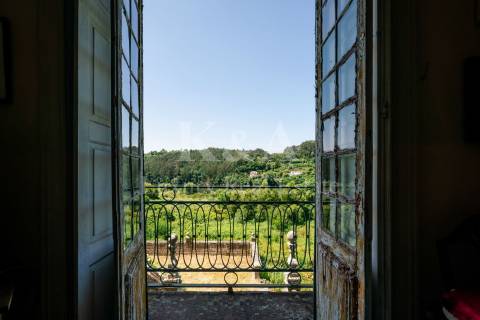 Quinta histórica no Douro