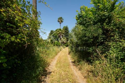 Quinta histórica no Douro