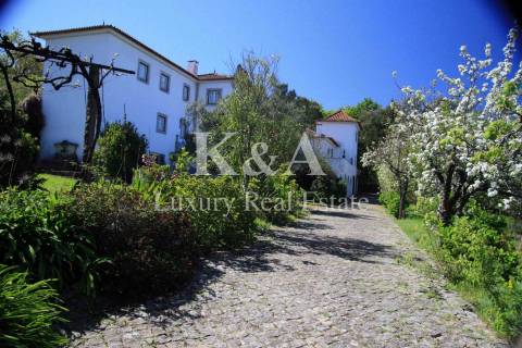 Quinta a 20 minutos do Porto