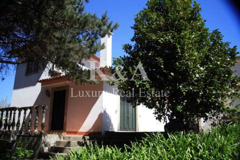 Quinta a 20 minutos do Porto