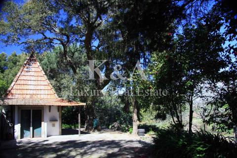 Quinta a 20 minutos do Porto