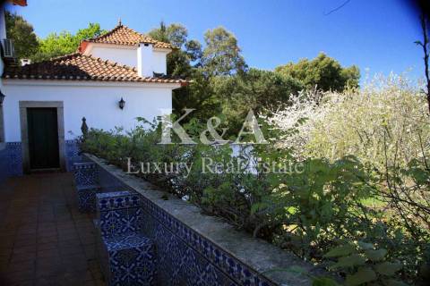 Quinta a 20 minutos do Porto