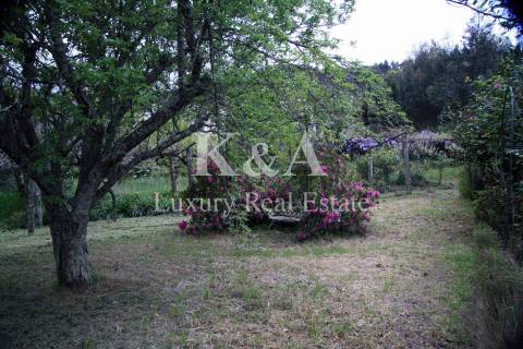 Quinta a 20 minutos do Porto