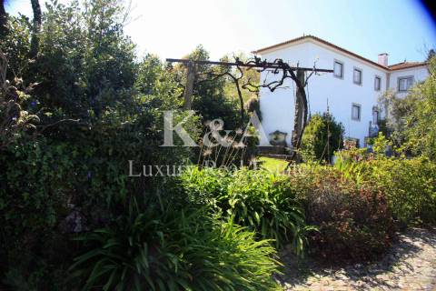 Quinta a 20 minutos do Porto