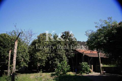 Quinta a 20 minutos do Porto