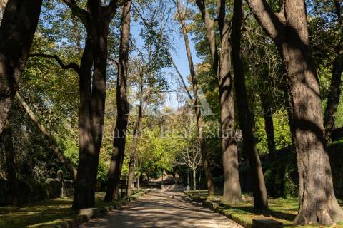 Prédio no centro do Porto