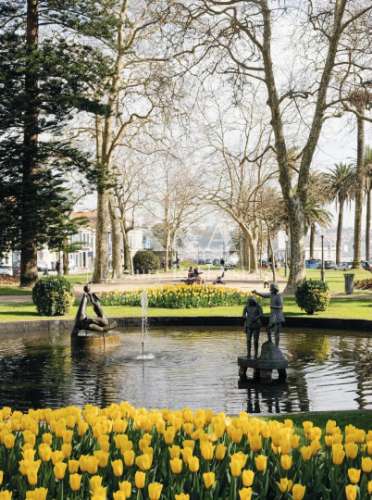 Moradia T5 Venda em Aldoar, Foz do Douro e Nevogilde,Porto