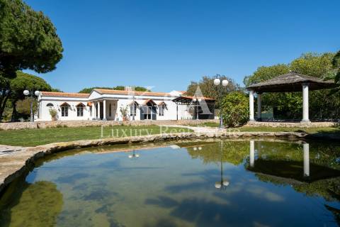 Propriedade para eventos e restauração no Triangulo Dourado, Algarve.