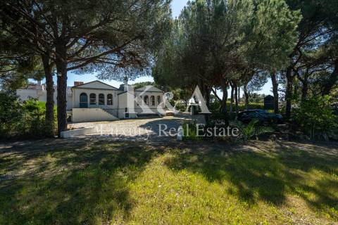 Propriedade para eventos e restauração no Triangulo Dourado, Algarve.