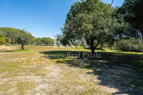 Propriedade para eventos e restauração no Triangulo Dourado, Algarve.
