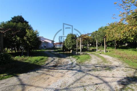 Quintinha T6 Venda em Antas e Abade de Vermoim,Vila Nova de Famalicão