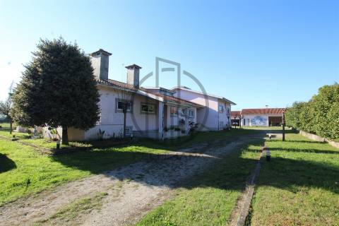 Quintinha T6 Venda em Antas e Abade de Vermoim,Vila Nova de Famalicão