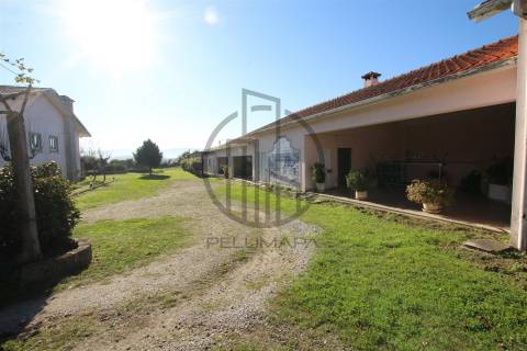 Quintinha T6 Venda em Antas e Abade de Vermoim,Vila Nova de Famalicão