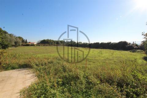 Quintinha T6 Venda em Antas e Abade de Vermoim,Vila Nova de Famalicão