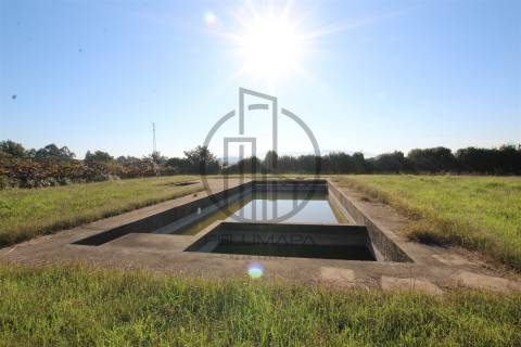 Quintinha T6 Venda em Antas e Abade de Vermoim,Vila Nova de Famalicão